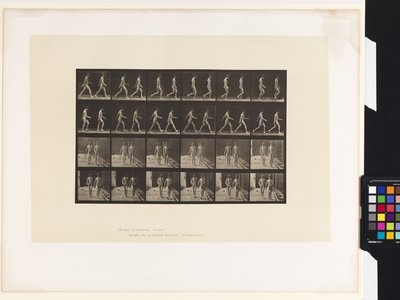 Plate 12.Gå av Eadweard Muybridge