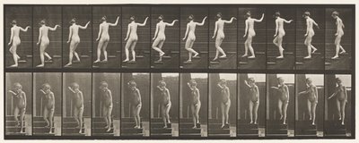 Plate 132. Nedstigende trapp, snur seg for å se seg rundt og vinker med hånden av Eadweard Muybridge