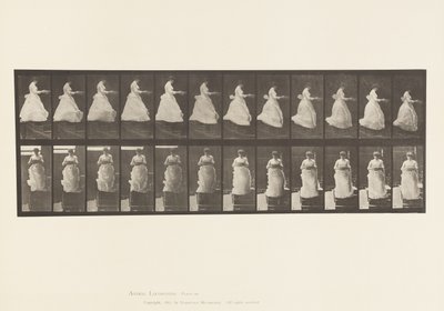 Plate 134.Nedgående trapp, med servant i hendene av Eadweard Muybridge