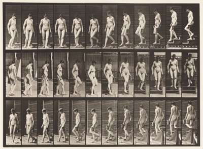 Plate 138. Nedstigende trapp Turning; Mugge i venstre hånd av Eadweard Muybridge