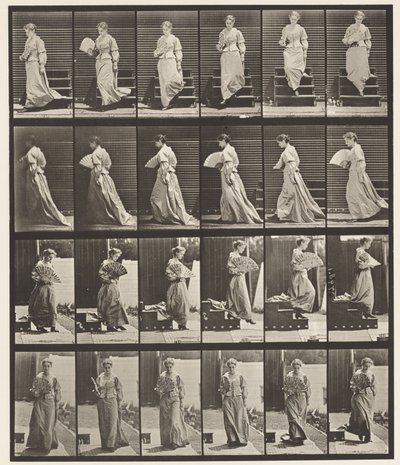 Plate 141. Nedstigende trapp og flørtevifte av Eadweard Muybridge