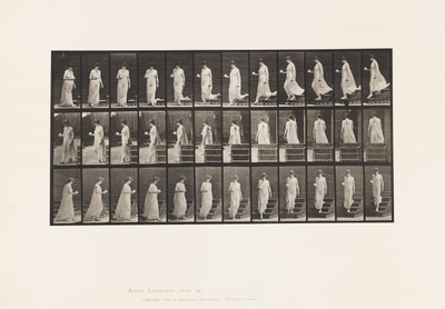Tallerken 143. Synkende skråning, snukopp og tallerken i høyre hånd av Eadweard Muybridge