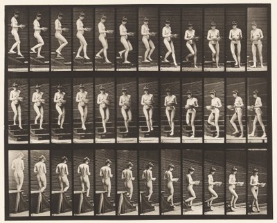 Plate 144. Nedstigende trapp; Vendebasseng i hender av Eadweard Muybridge