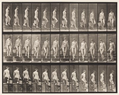 Plate 145. Nedstigende trapp; Å snu bøttevann i høyre hånd, 1872-1885 av Eadweard Muybridge