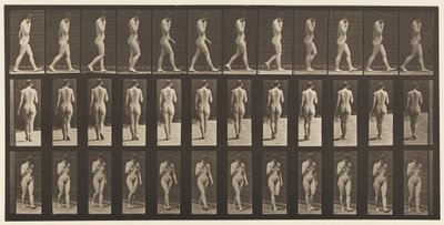 Plate 14. Walking, Right Hand at Chin, 1872-1885 av Eadweard Muybridge