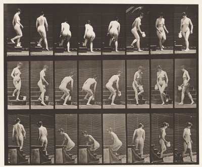 Plate 150. Nedstigende trapp; Bøye, løfte kanne, dreiing, 1872-1885 av Eadweard Muybridge