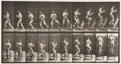 Plate 151. Nedstigende trappestige, snur seg rundt, stein i hender, 1872-1885 av Eadweard Muybridge
