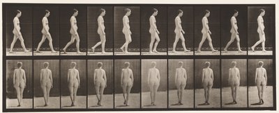 Plate 15. Gående av Eadweard Muybridge