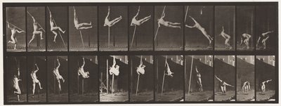 Plate 164. Hopping; Stanghopping, 1872-1885 av Eadweard Muybridge