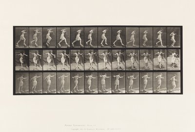 Tallerken 175. Kryssende bekk på trappesteiner med fiskestang og boks av Eadweard Muybridge