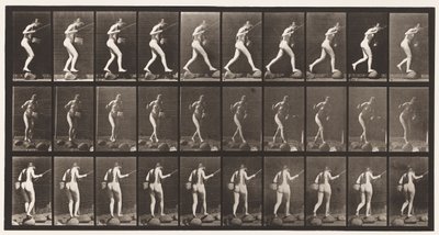 Plate 176. Kryssende bekk på trinnsteiner med fiskestang og kurv av Eadweard Muybridge