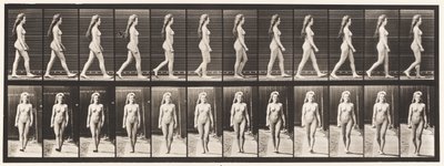 Plate 17. Vandrende, 1872-1885 av Eadweard Muybridge