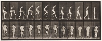 Tallerken 180. Tråkke på og over en stol av Eadweard Muybridge