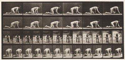 Tallerken 182. Krypende på hender og knær av Eadweard Muybridge