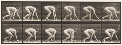 Plate 183. Gå på hender og føtter av Eadweard Muybridge