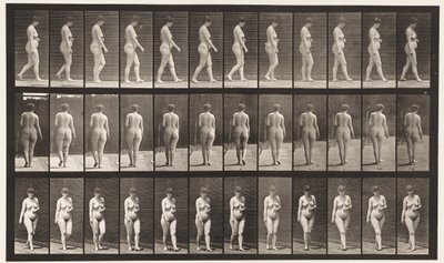 Plate 18. Gå, venstre hånd over magen, 1872-1885 av Eadweard Muybridge