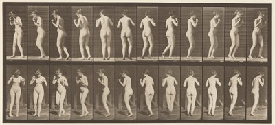 Tallerken 195. Dansende vals av Eadweard Muybridge