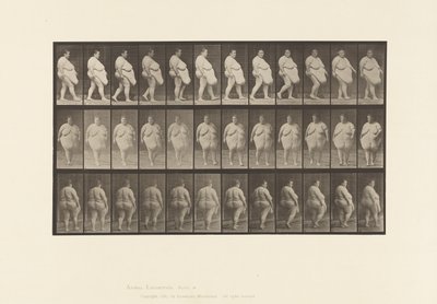 Plate 19. Gå, begynner å snu av Eadweard Muybridge