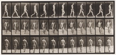 Plate 1. Gå av Eadweard Muybridge