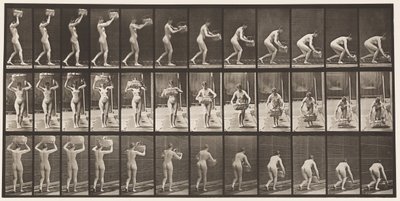 Plate 201. Tar 12-lb kurv fra hodet, legger den på bakken, 1872-1885 av Eadweard Muybridge