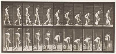 Tallerken 202. Å slippe og løfte et lommetørkle av Eadweard Muybridge