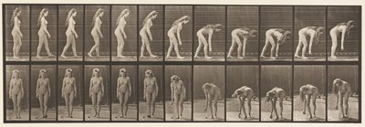 Plate 204. Stopper for å plukke opp ball av Eadweard Muybridge