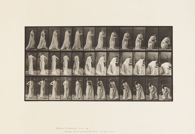 Plate 205. Bære og bøye seg med vase, 1885 av Eadweard Muybridge