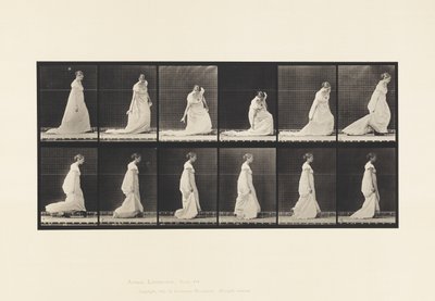 Plate 207. Bøye- og løftetog, 1885 av Eadweard Muybridge