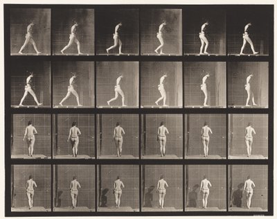 Plate 20. Gående, høyre albue bøyd av Eadweard Muybridge