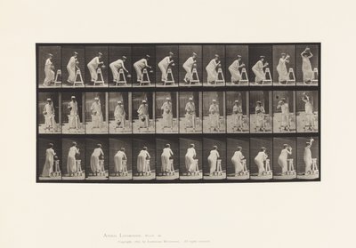Plate 216. Bøying for å fylle vannbeholder; Plasser krukken på hodet av Eadweard Muybridge