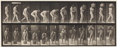 Plate 218. Bøye og løfte full Demijohn til skulder av Eadweard Muybridge