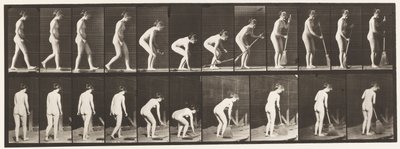 Tallerken 219. Bøye og løfte kost og feie av Eadweard Muybridge