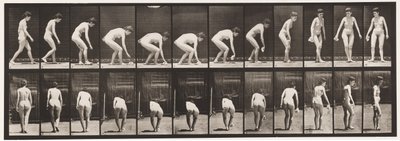 Tallerken 220. Bøye og løfte lommetørkle og snu av Eadweard Muybridge