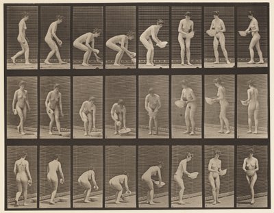 Plate 223. Bøye- og løftebasseng, tørke den og dreie, 1872-1885 av Eadweard Muybridge