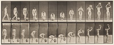 Tallerken 224. Bøye og løfte vannkrukken til hodet av Eadweard Muybridge