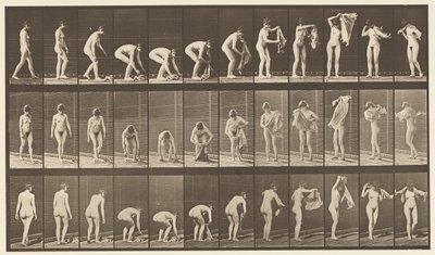 Plate 227. Løfteduk fra bakken,, 1872-1885 av Eadweard Muybridge