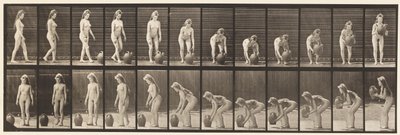 Tallerken 228. Snuing og løfting av vannkrukke fra bakken av Eadweard Muybridge