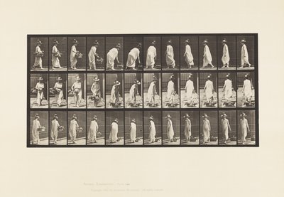 Plate 229. Plassere kurven på bakken og snu av Eadweard Muybridge