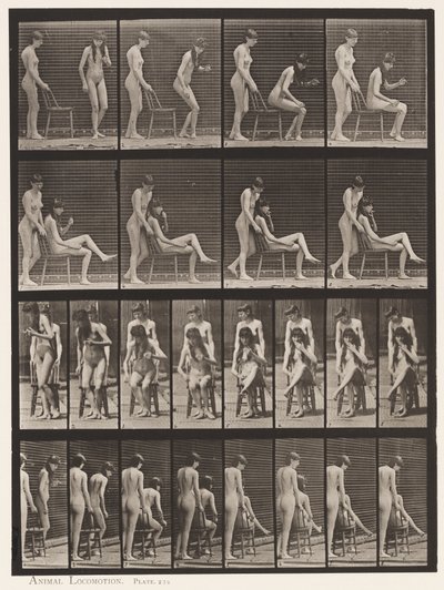 Plate 239. To modeller; den ene stående, den andre sitter, krysser beina av Eadweard Muybridge