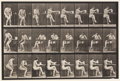 Tallerken 244. Sittende kryssende ben, fyllebeger fra Pitcher av Eadweard Muybridge