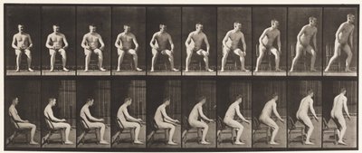 Tallerken 249. Stiger opp fra stolen av Eadweard Muybridge