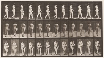 Plate 24. Gå, med høyhælte sko på av Eadweard Muybridge