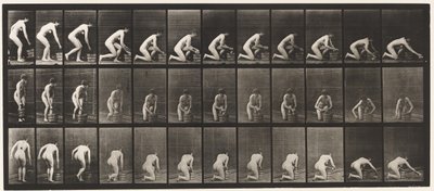 Plate 252. Kneler på høyre kne og skrubber gulvet, 1872-1885 av Eadweard Muybridge