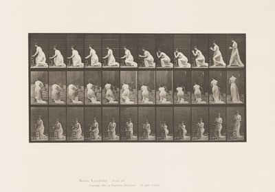 Tallerken 253. Knelende albuer på stolen, hendene sammen, 1885 av Eadweard Muybridge