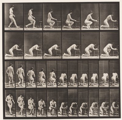 Tallerken 254. Knestående, albuer på stolen, hendene sammen av Eadweard Muybridge