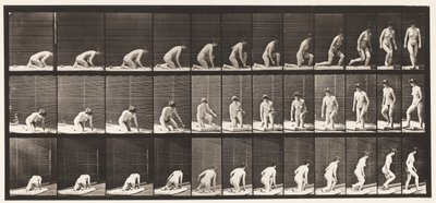 Tallerken 255. Oppstår fra knestående og vending av Eadweard Muybridge