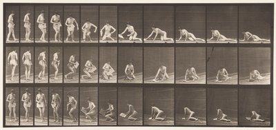 Plate 256. Liggende på bakken og lesing, 1872-1885 av Eadweard Muybridge