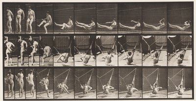 Plate 261. Komme inn i hengekøye, 1872-1885 av Eadweard Muybridge