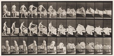 Tallerken 263. Komme i seng av Eadweard Muybridge