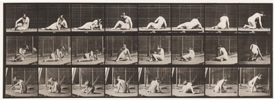 Plate 266. Snu og endre posisjon mens du fortsatt er på bakken av Eadweard Muybridge